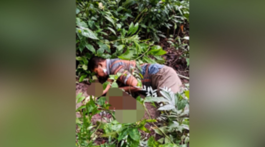 news-banner