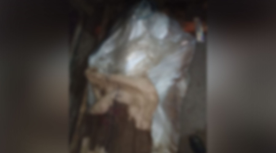 news-banner